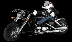 El conejo se puso el casco, puso en marcha la motocicleta y dijo:  "Ojalá el oso fuera gay"